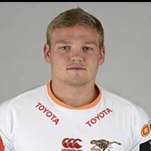 Daniel Maartens